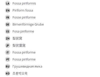 翻译