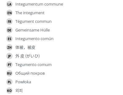 翻译