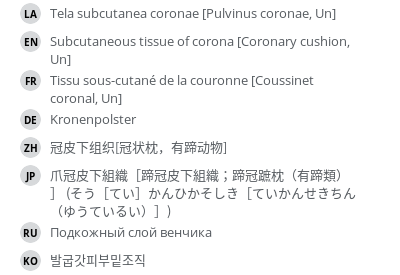 翻译
