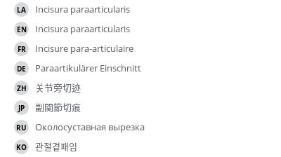 翻译