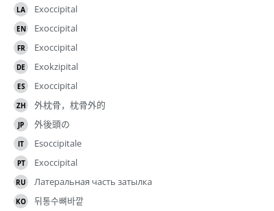 翻译