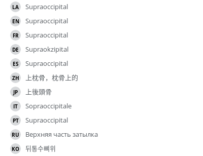翻译
