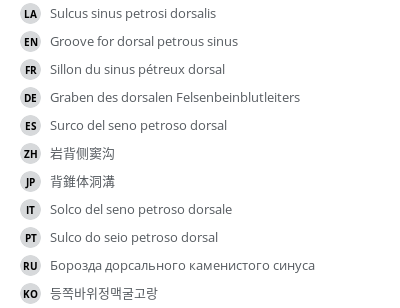 翻译
