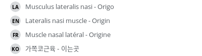 翻译