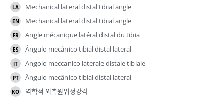 翻译