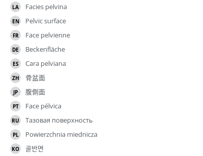 翻译