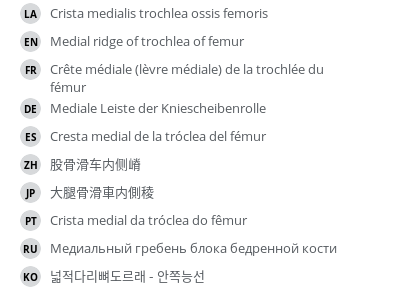 翻译