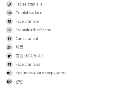 翻译