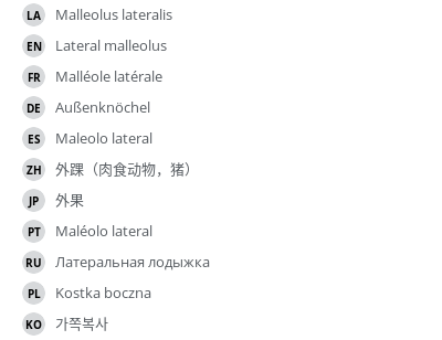翻译