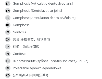 翻译