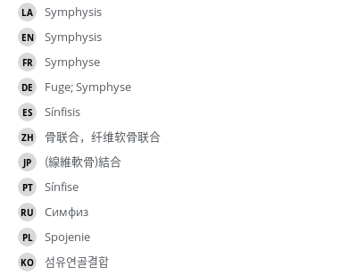 翻译