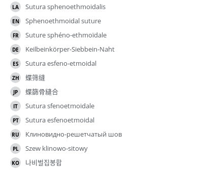 翻译