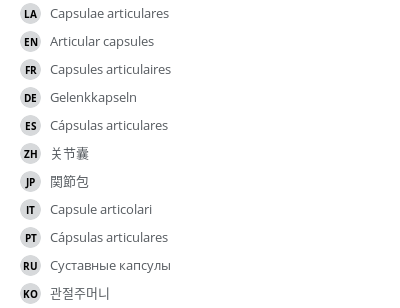 翻译