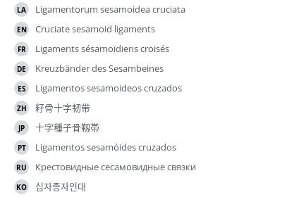 翻译
