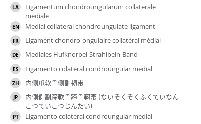 翻译