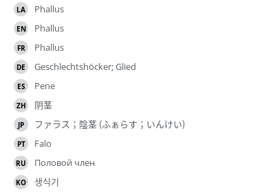 翻译
