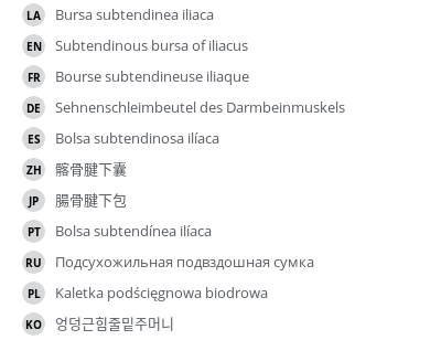 翻译