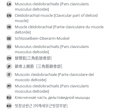 翻译