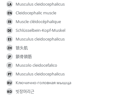 翻译