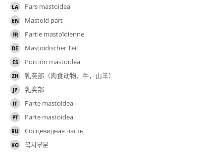 翻译