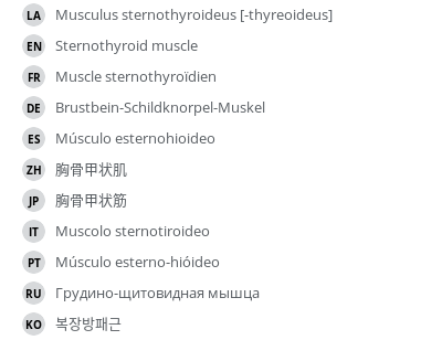 翻译