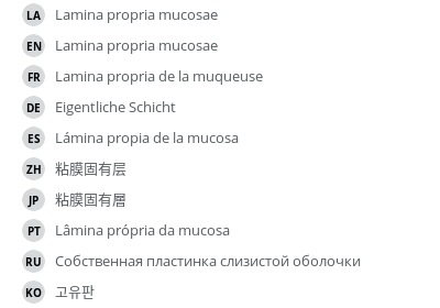 翻译