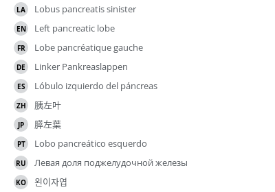 翻译