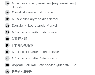 翻译