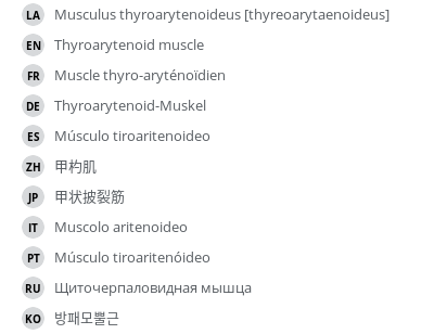 翻译