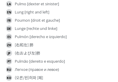 翻译