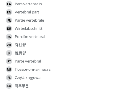 翻译