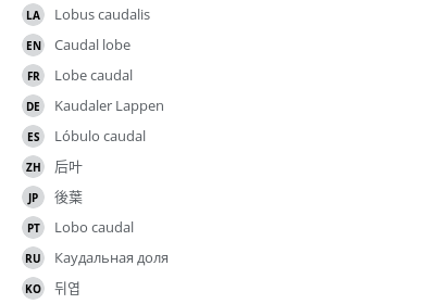 翻译