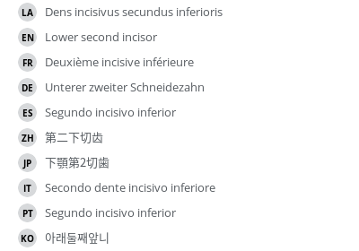 翻译