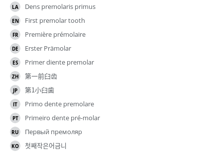翻译