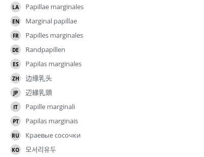 翻译