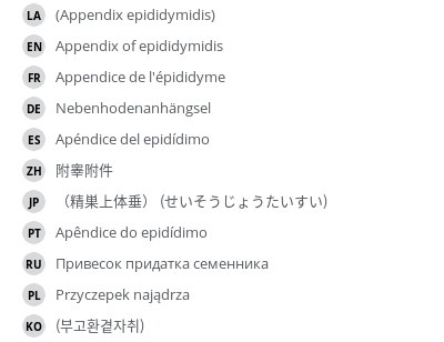 翻译