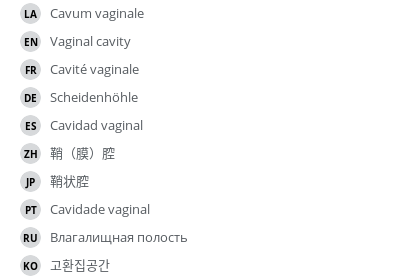 翻译