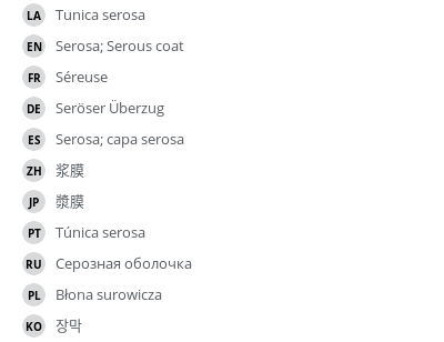 翻译