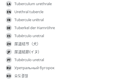 翻译