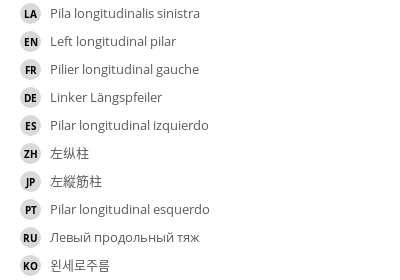 翻译