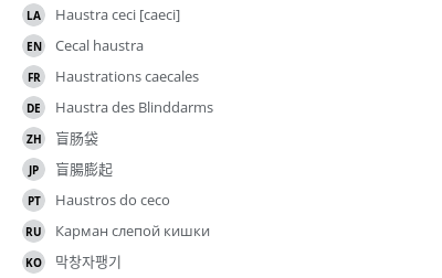 翻译