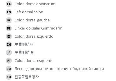 翻译
