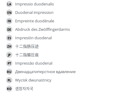翻译