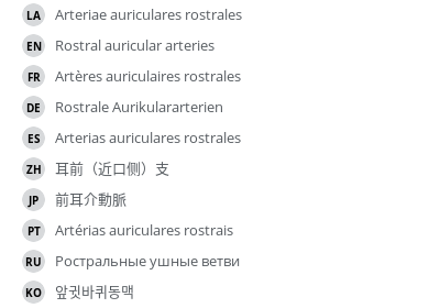 翻译