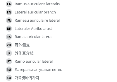 翻译