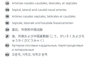 翻译