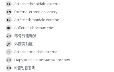 翻译