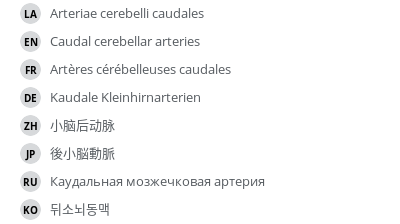 翻译