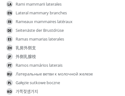 翻译