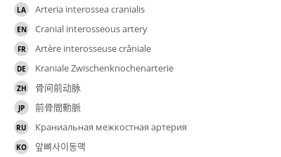 翻译